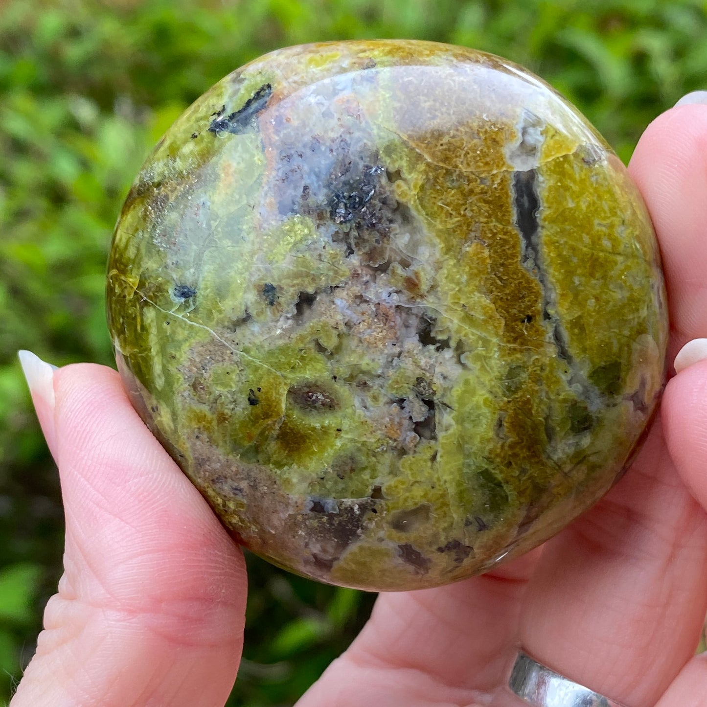 Green Opal Palm Stone