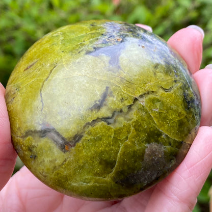 Green Opal Palm Stone
