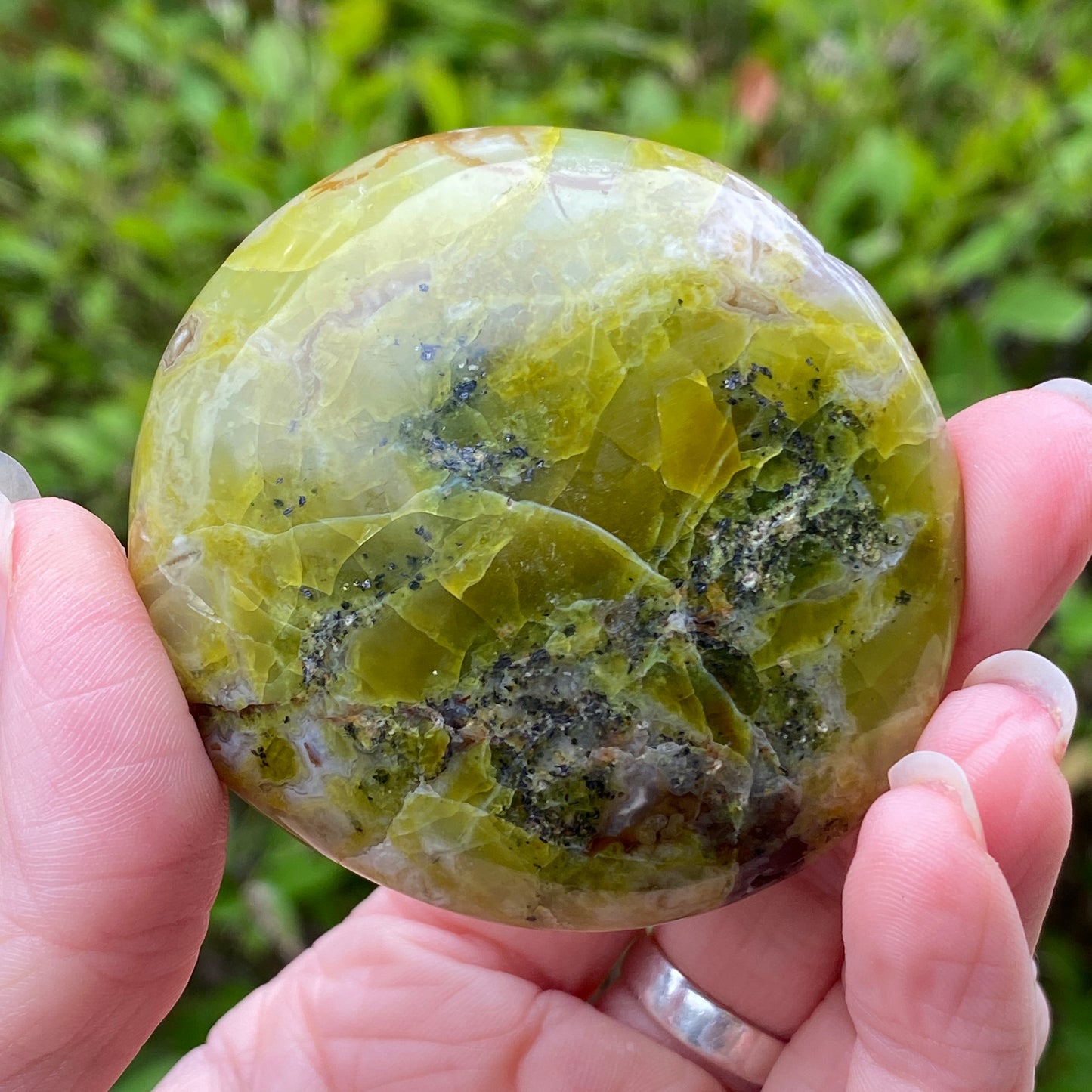 Green Opal Palm Stone