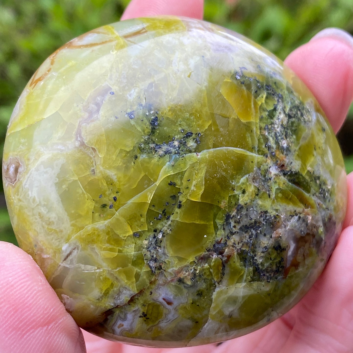 Green Opal Palm Stone