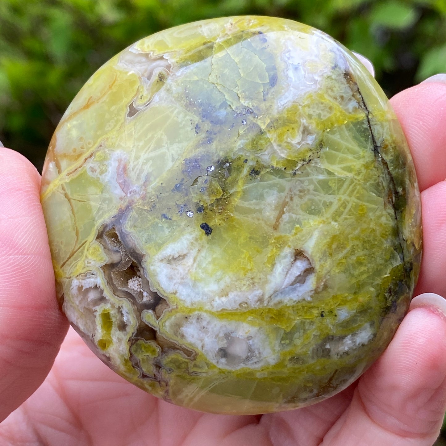 Green Opal Palm Stone