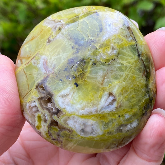 Green Opal Palm Stone