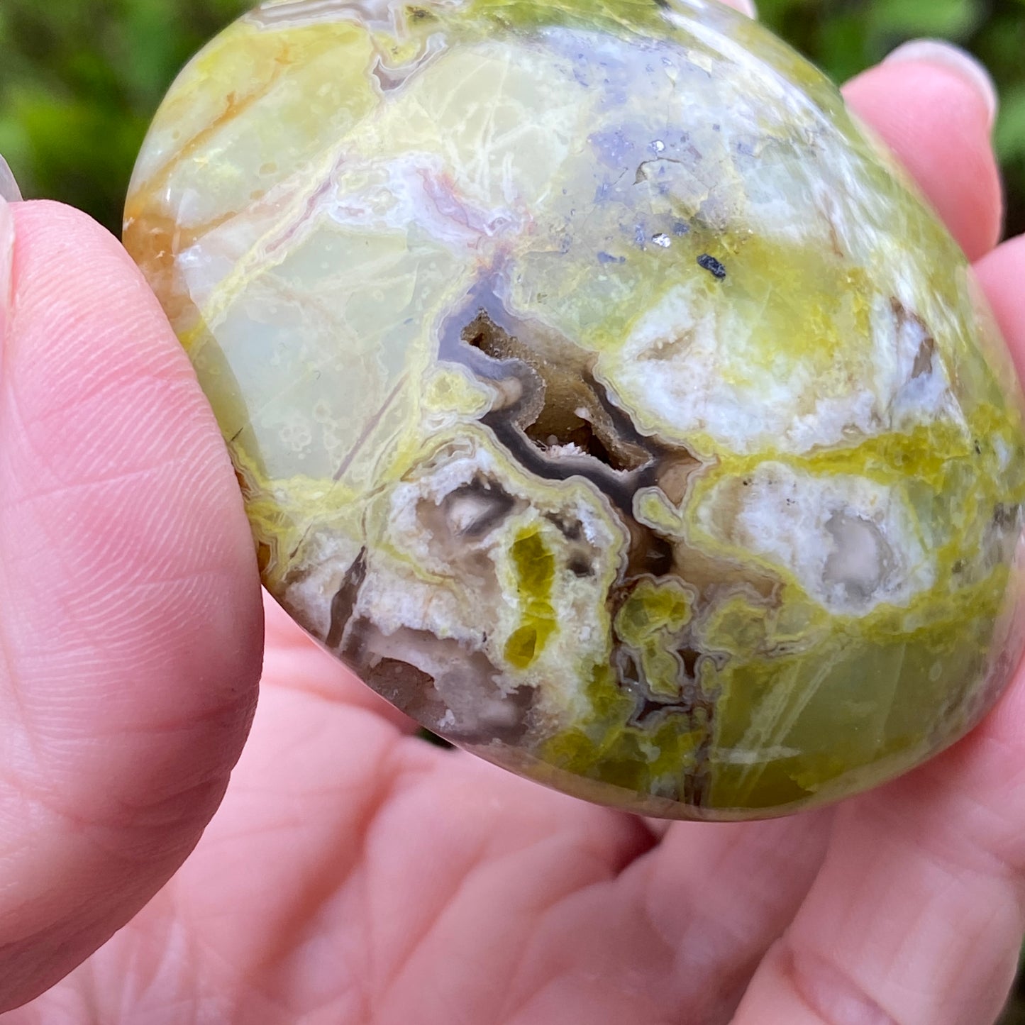 Green Opal Palm Stone