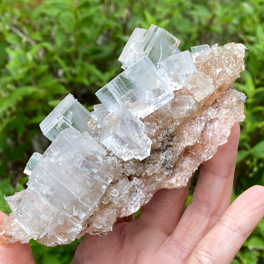 Clear Halite, High Grade, Phantom, Morocco