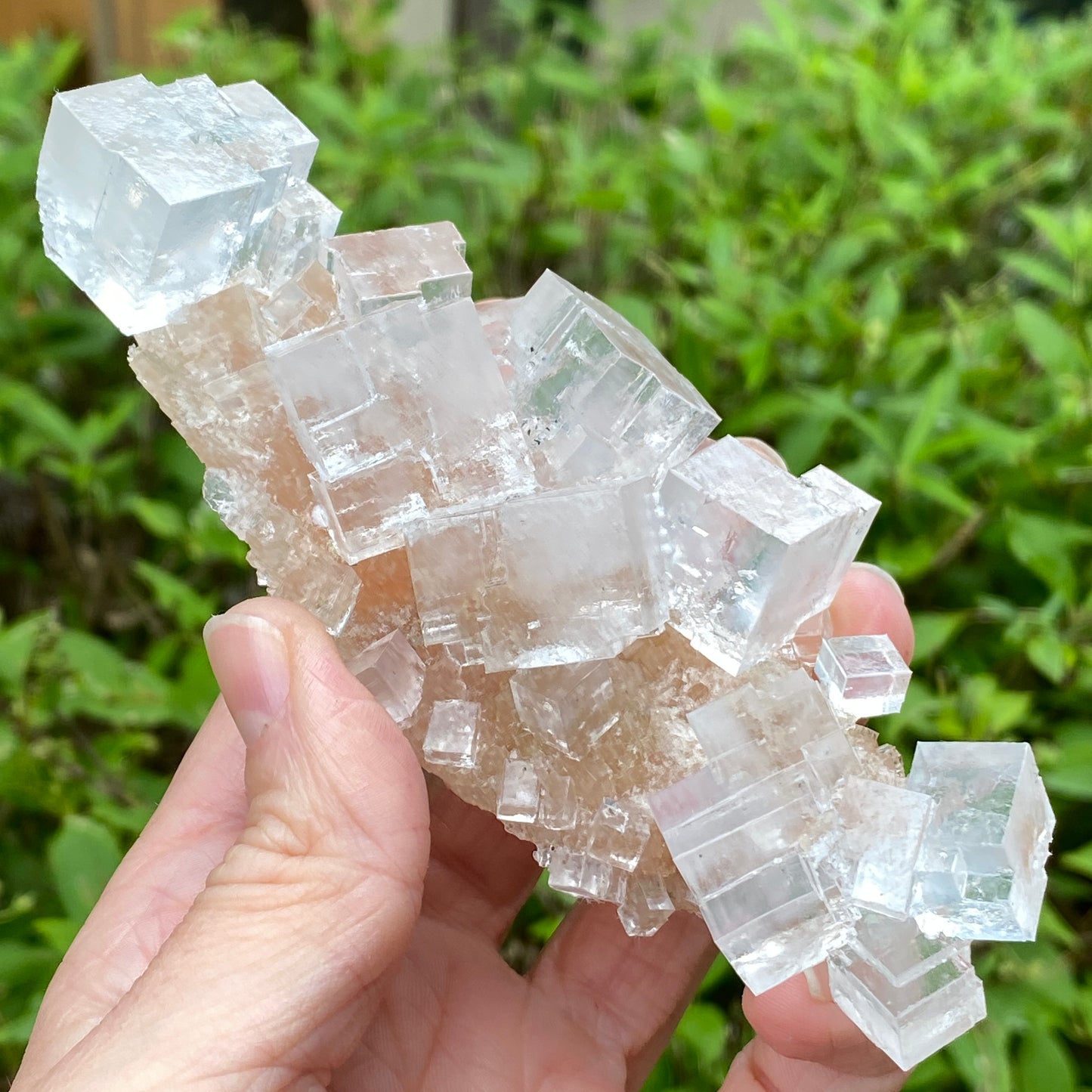 Clear Halite, High Grade, Phantom, Morocco