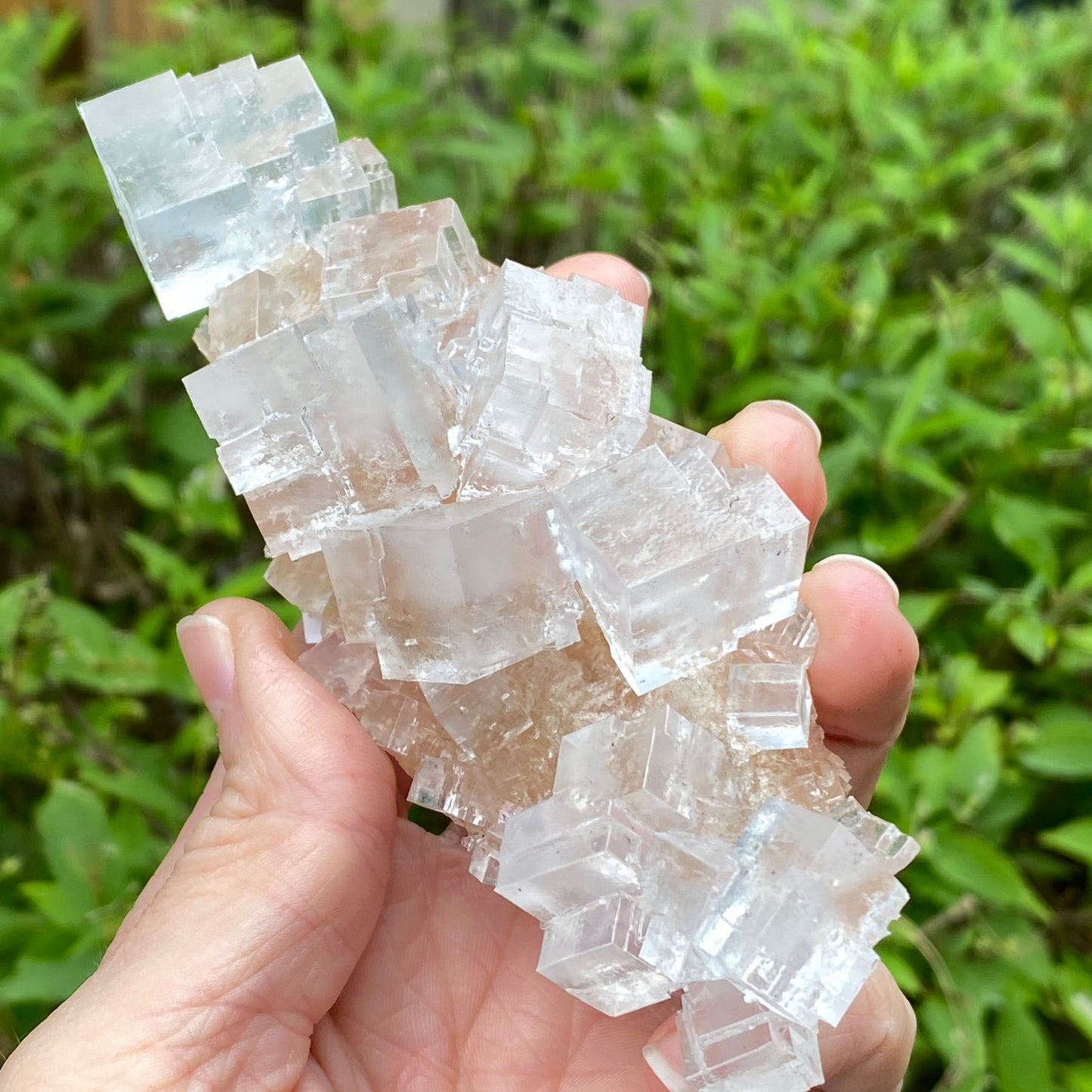 Clear Halite, High Grade, Phantom, Morocco