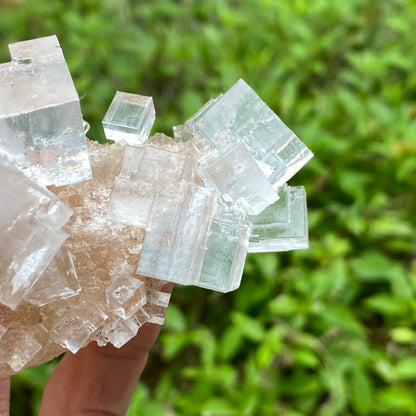 Clear Halite, High Grade, Phantom, Morocco