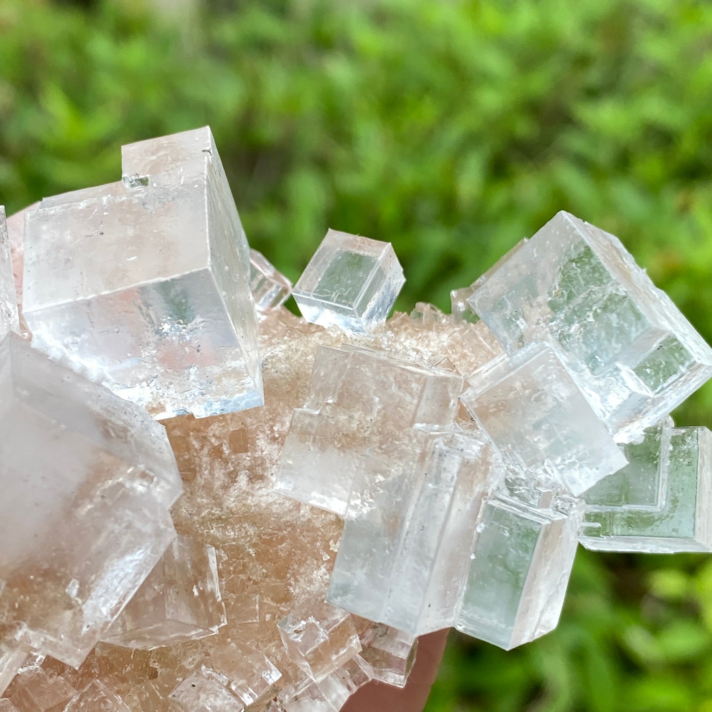 Clear Halite, High Grade, Phantom, Morocco