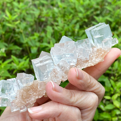 Clear Halite, High Grade, Phantom, Morocco