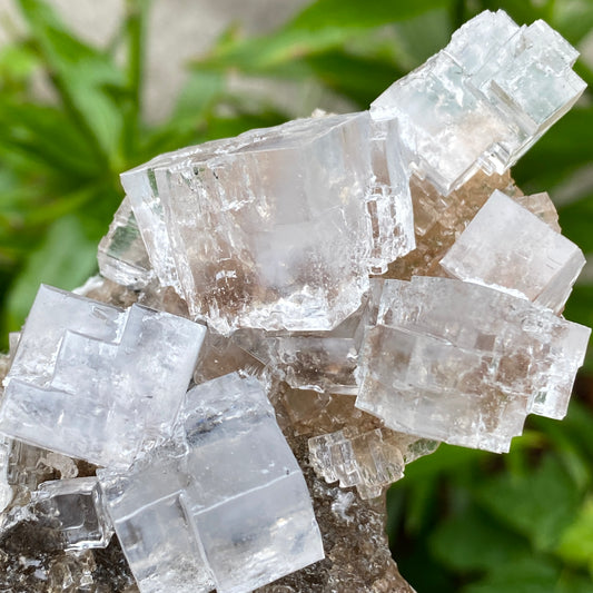 Clear Halite, High Grade, Phantom, Morocco