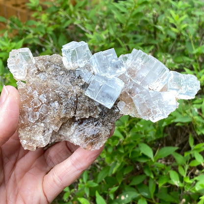 Clear Halite, High Grade, Phantom, Morocco