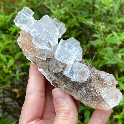 Clear Halite, High Grade, Phantom, Morocco