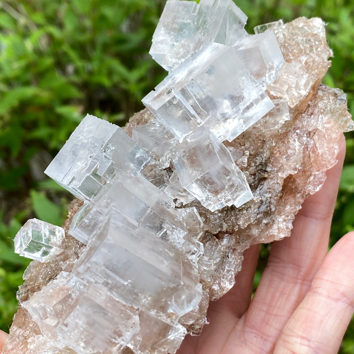 Clear Halite, High Grade, Phantom, Morocco