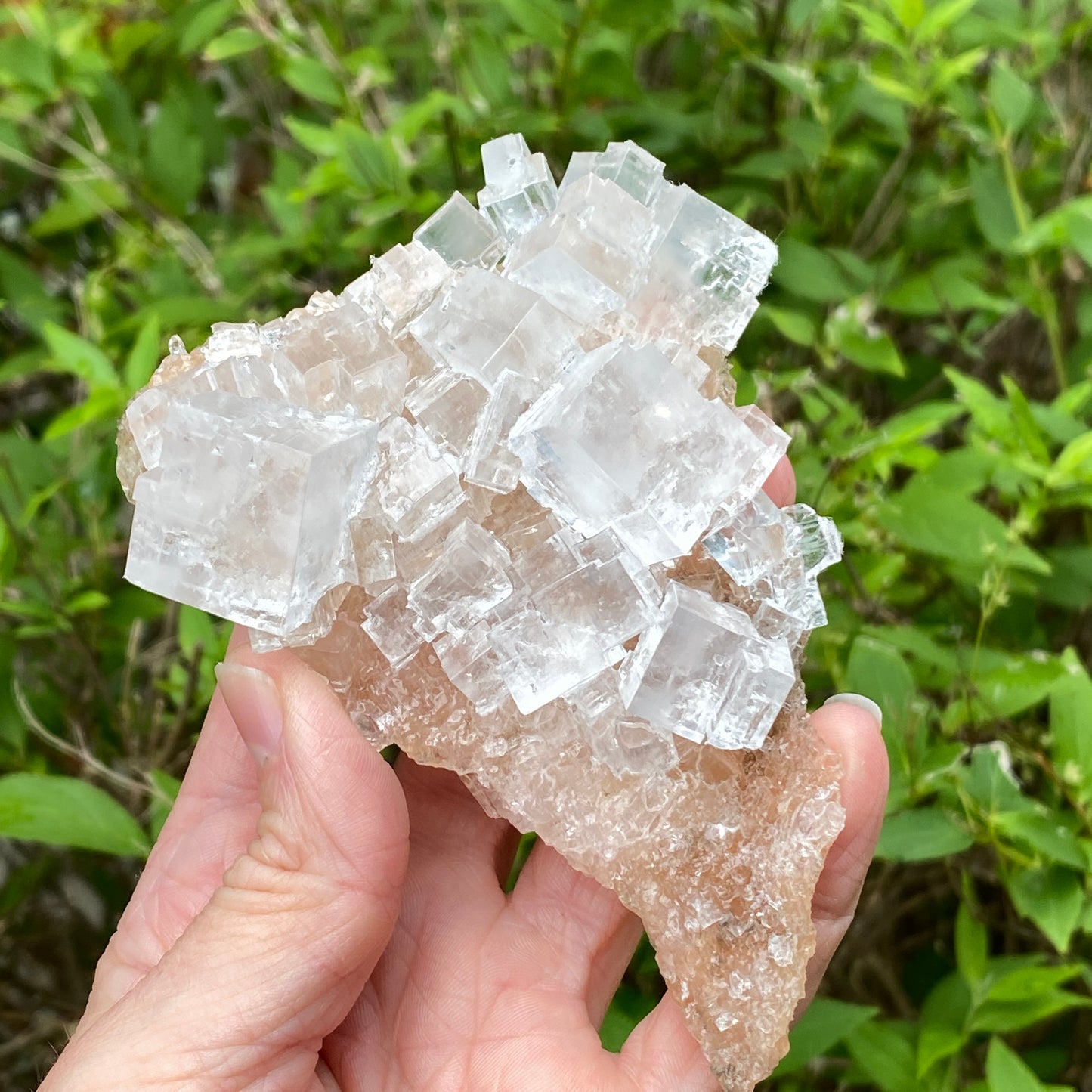 Clear Halite, High Grade, Phantom, Morocco