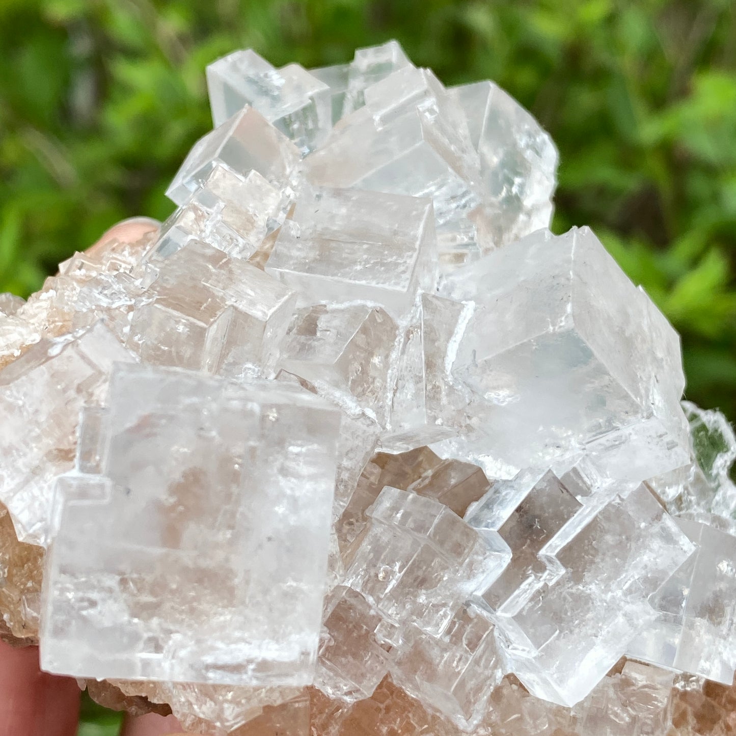 Clear Halite, High Grade, Phantom, Morocco