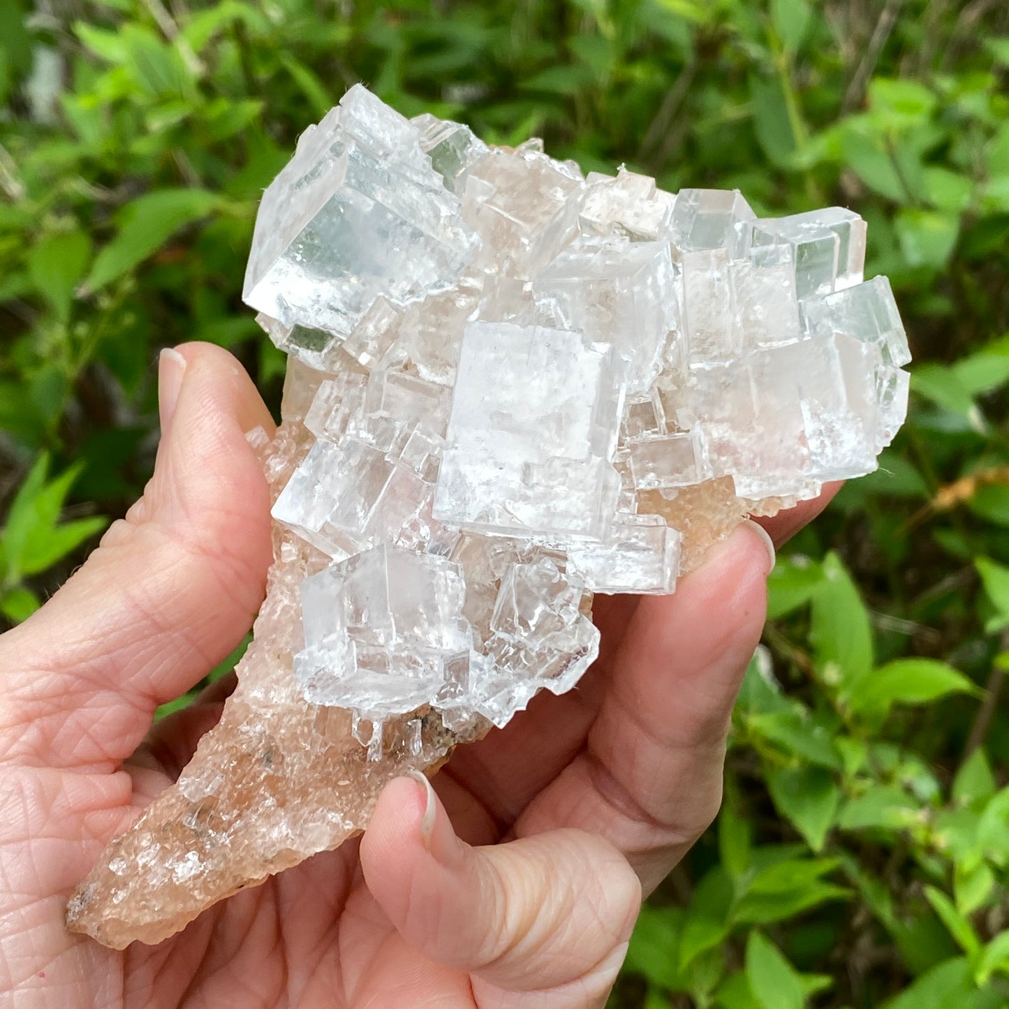 Clear Halite, High Grade, Phantom, Morocco
