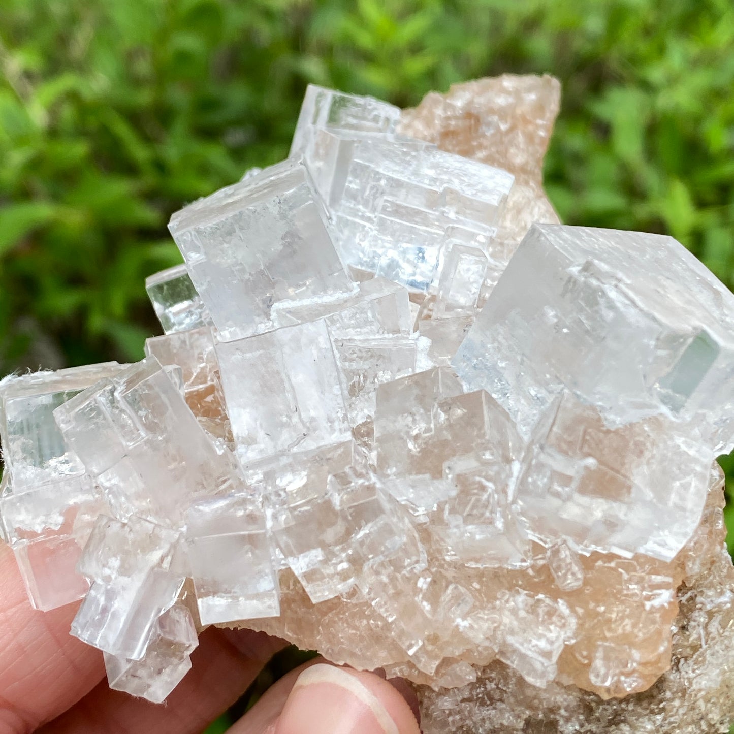Clear Halite, High Grade, Phantom, Morocco
