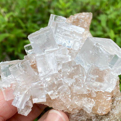Clear Halite, High Grade, Phantom, Morocco