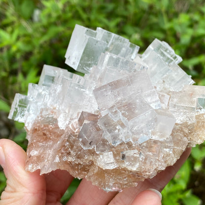 Clear Halite, High Grade, Phantom, Morocco