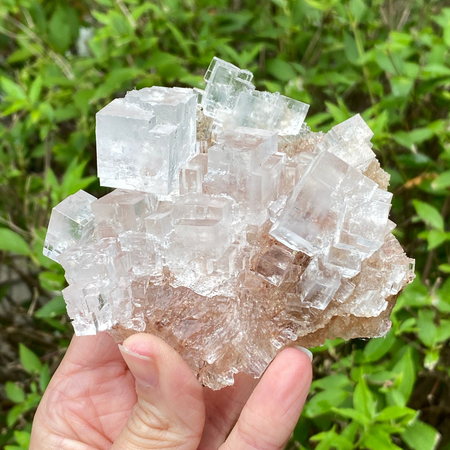 Clear Halite, High Grade, Phantom, Morocco
