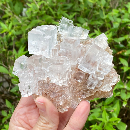 Clear Halite, High Grade, Phantom, Morocco
