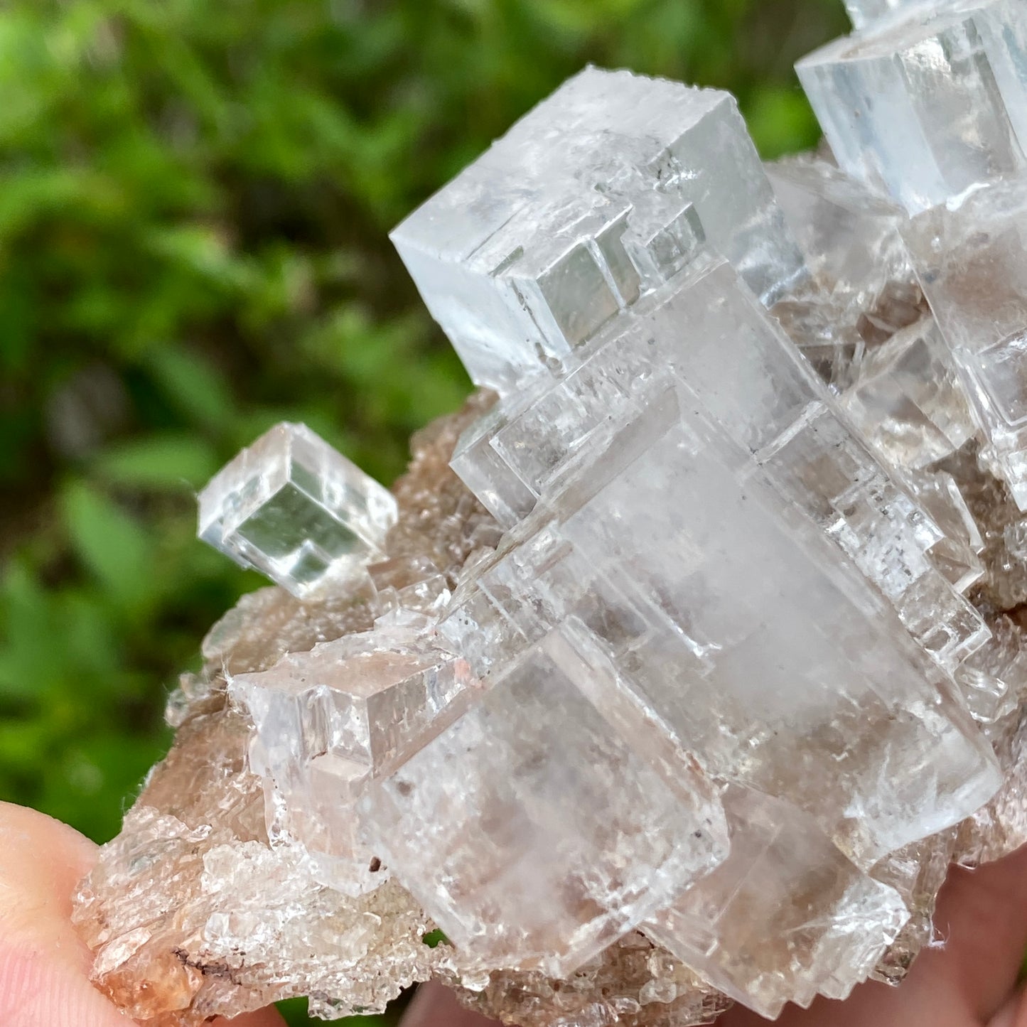 Clear Halite, High Grade, Phantom, Morocco