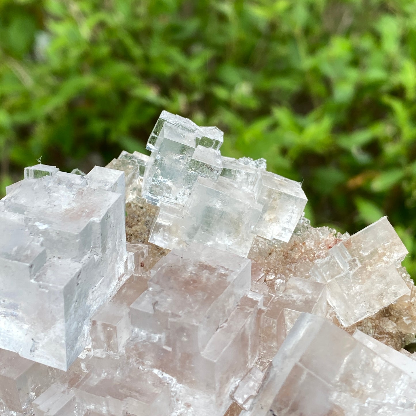 Clear Halite, High Grade, Phantom, Morocco