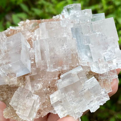 Clear Halite, High Grade, Phantom, Morocco
