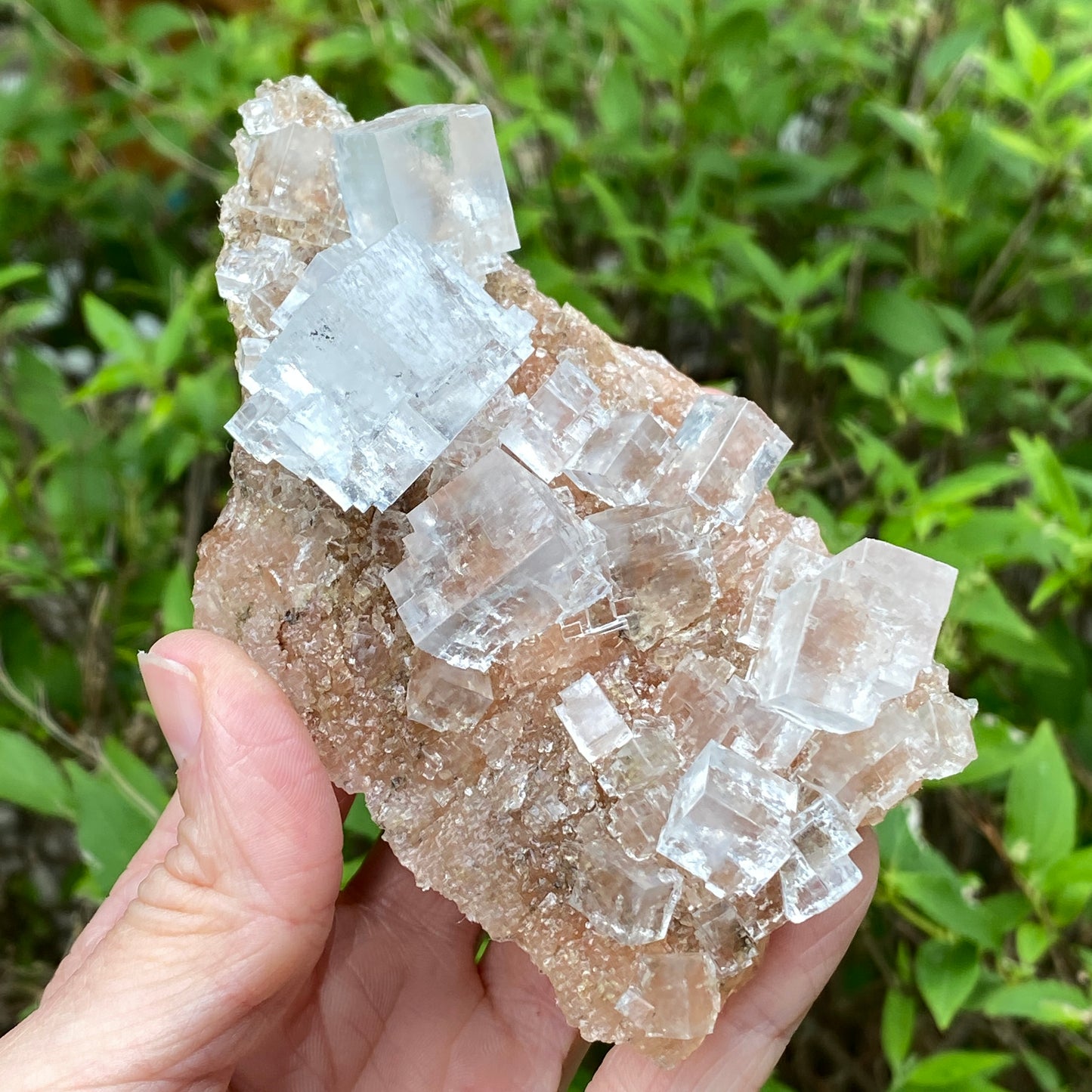 Clear Halite, High Grade, Phantom, Morocco