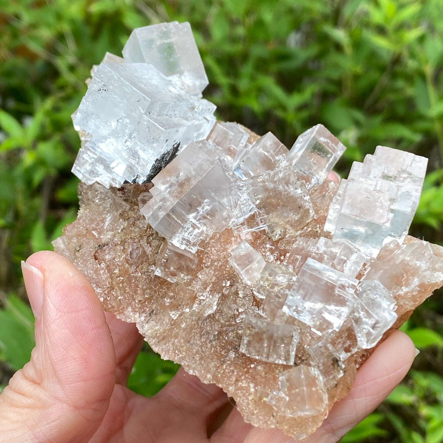Clear Halite, High Grade, Phantom, Morocco