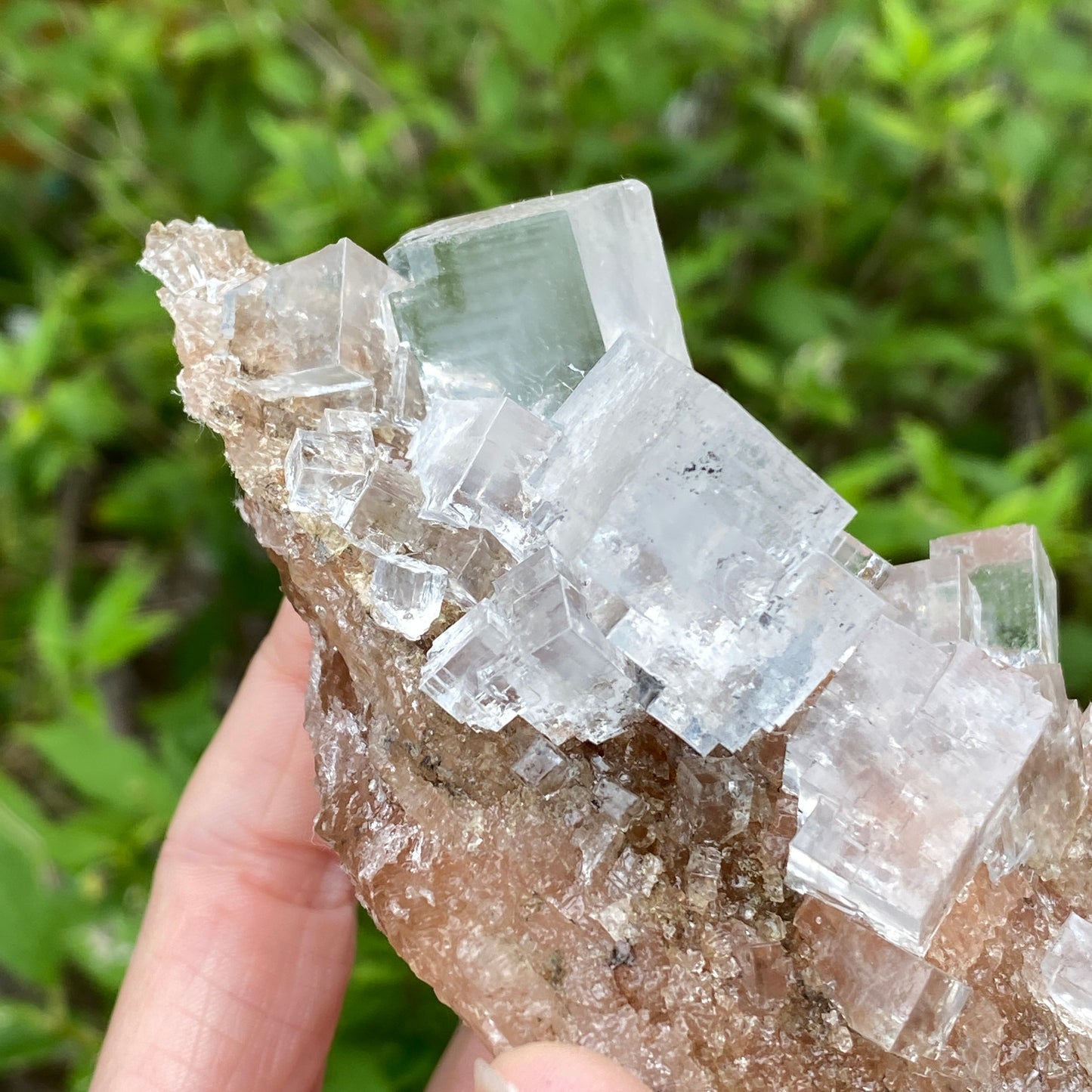 Clear Halite, High Grade, Phantom, Morocco