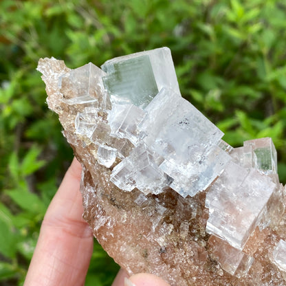 Clear Halite, High Grade, Phantom, Morocco