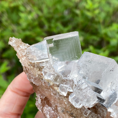 Clear Halite, High Grade, Phantom, Morocco