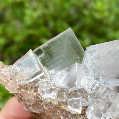 Clear Halite, High Grade, Phantom, Morocco