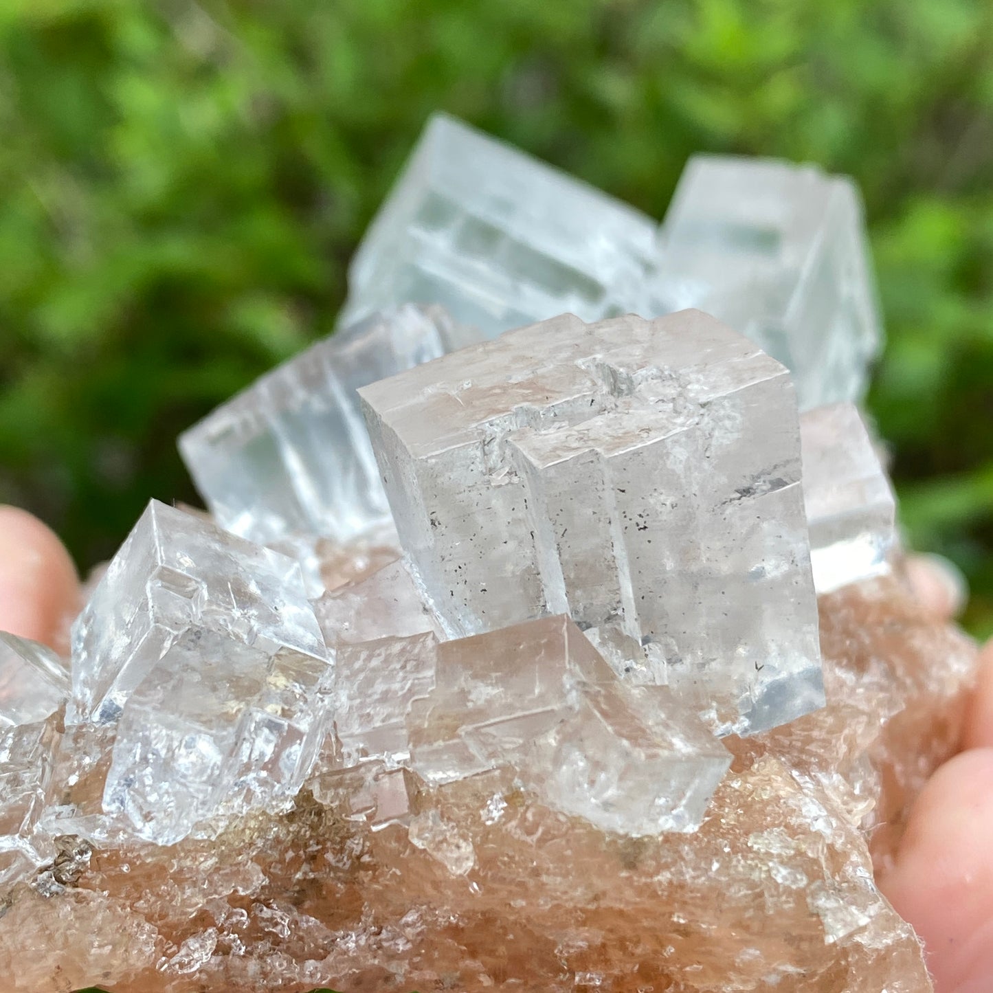 Clear Halite, High Grade, Phantom, Morocco