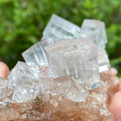 Clear Halite, High Grade, Phantom, Morocco