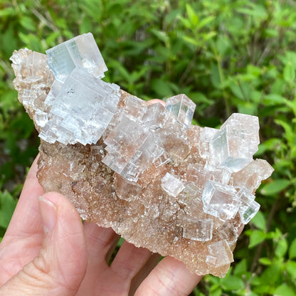Clear Halite, High Grade, Phantom, Morocco