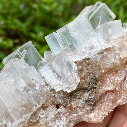 Clear Halite, High Grade, Phantom, Morocco