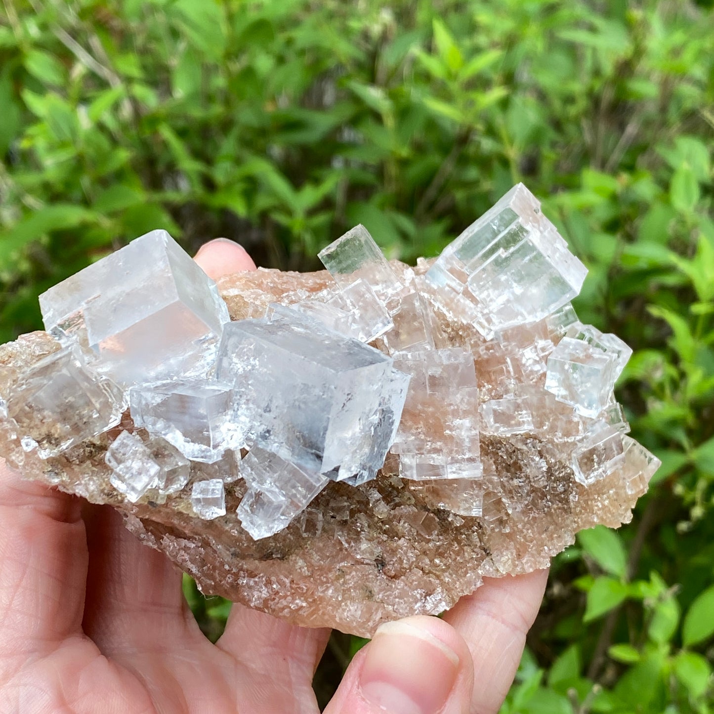 Clear Halite, High Grade, Phantom, Morocco