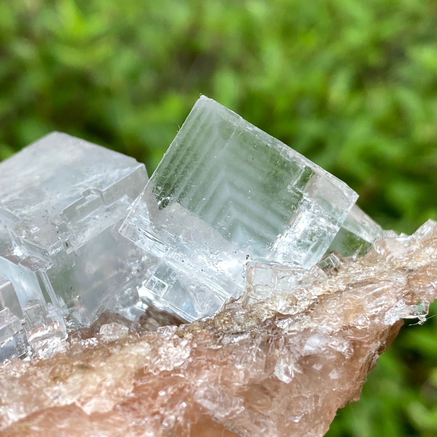Clear Halite, High Grade, Phantom, Morocco