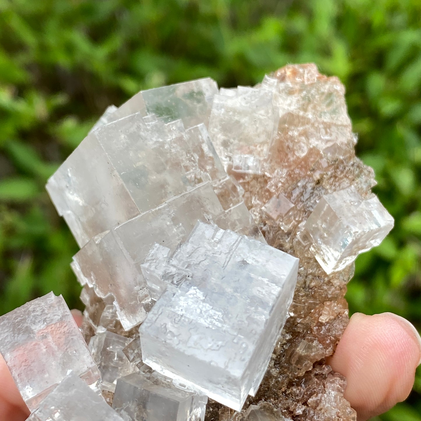 Clear Halite, High Grade, Phantom, Morocco