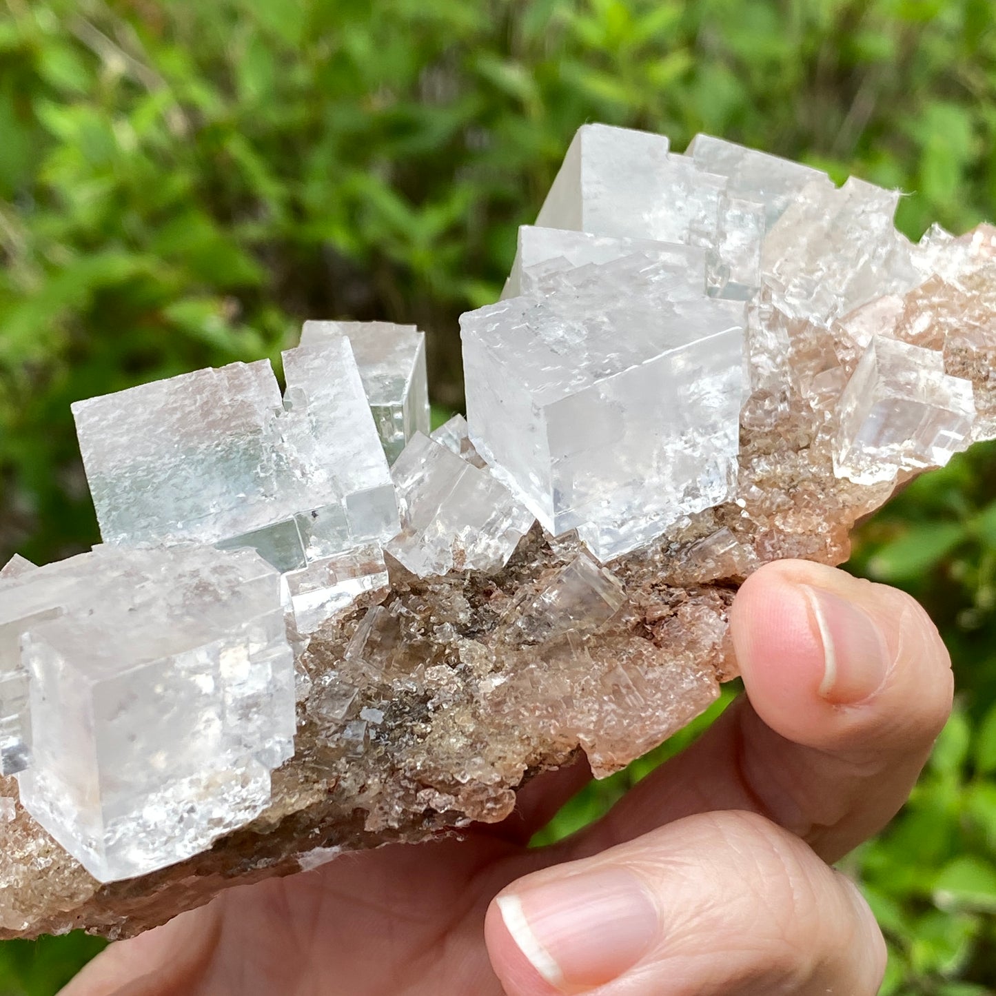 Clear Halite, High Grade, Phantom, Morocco