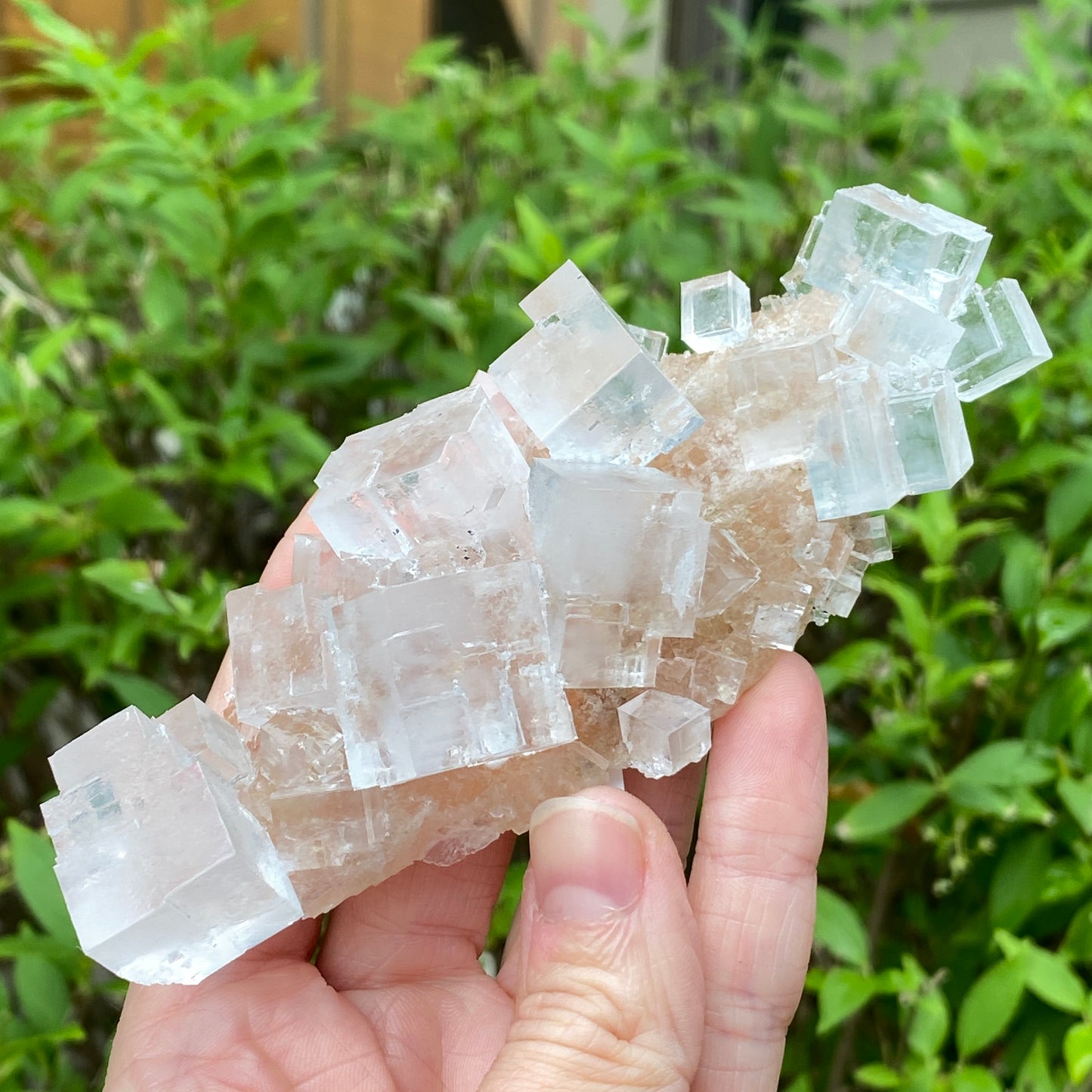 Clear Halite, High Grade, Phantom, Morocco