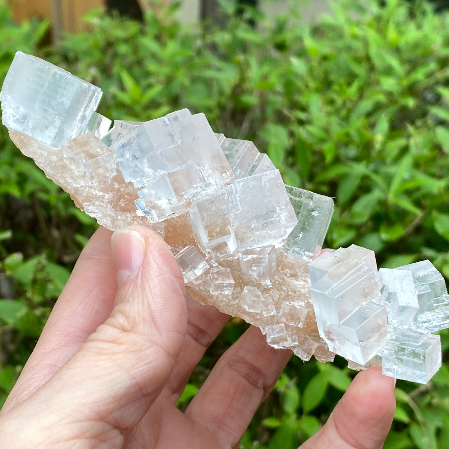 Clear Halite, High Grade, Phantom, Morocco