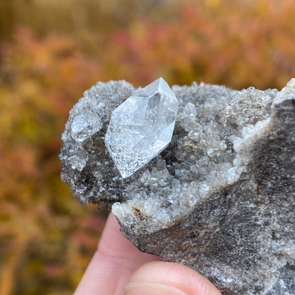 Herkimer Diamond in Matrix