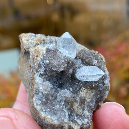 Herkimer Diamond in Matrix