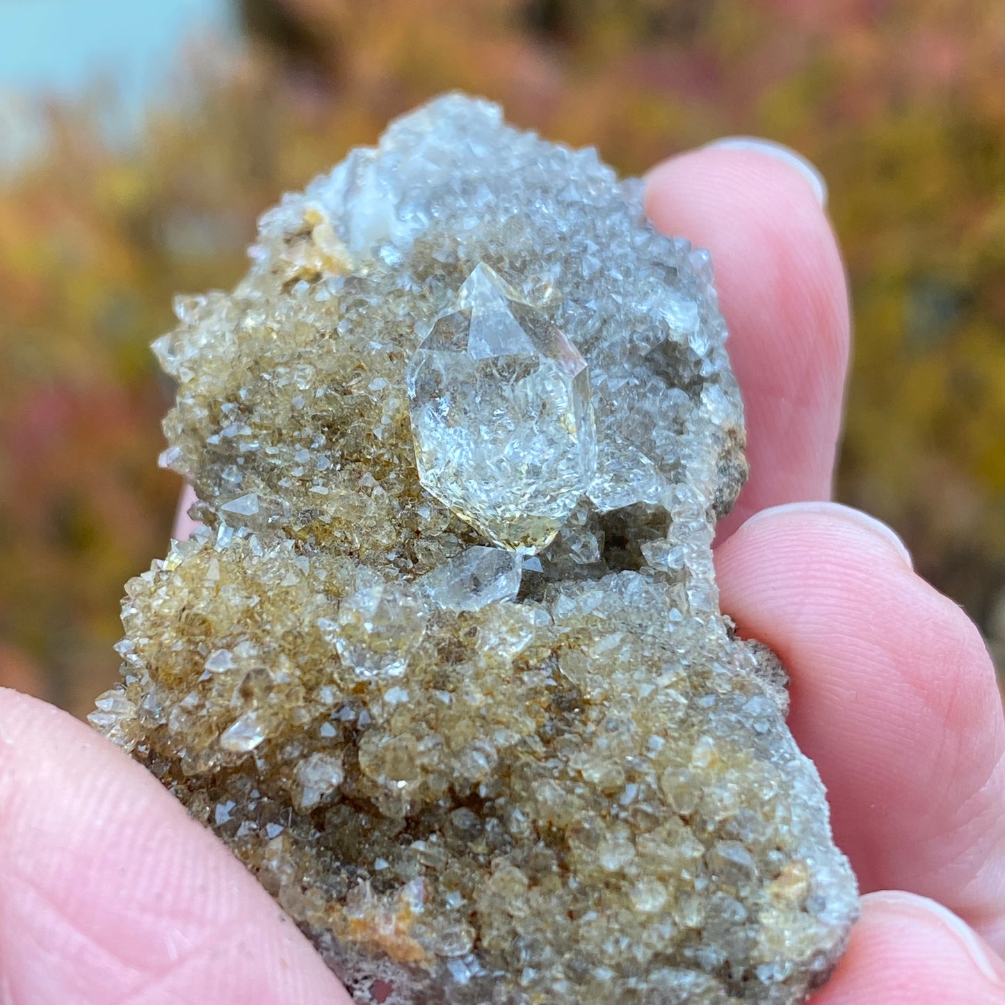 Herkimer Diamond in Matrix