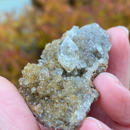 Herkimer Diamond in Matrix