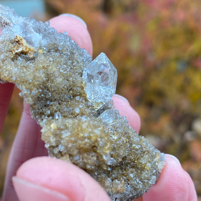 Herkimer Diamond in Matrix