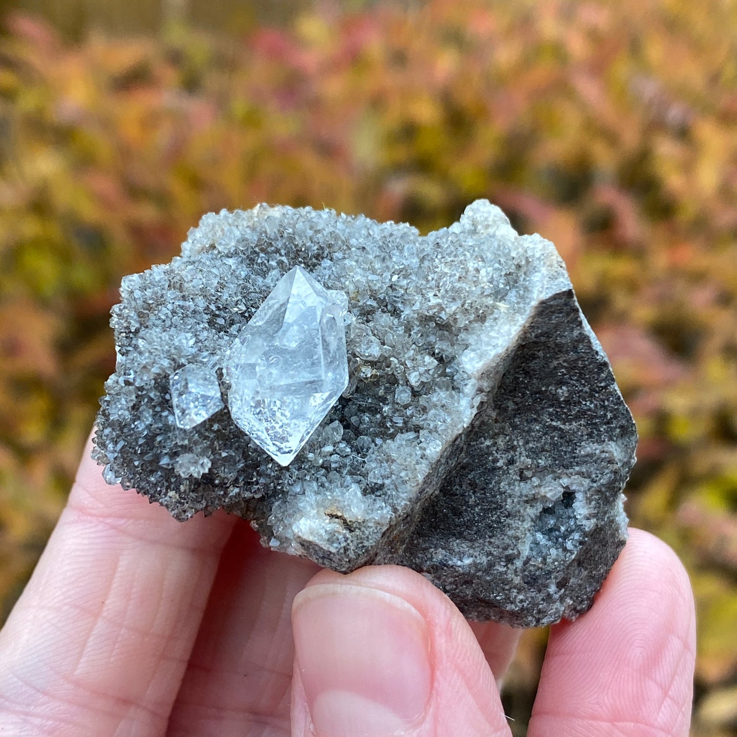 Herkimer Diamond in Matrix